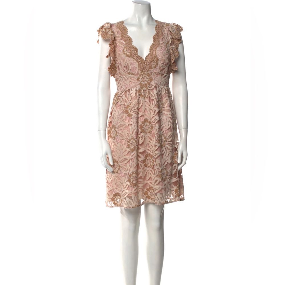 NWT Anna Sui Pink and Gold Lace Dress